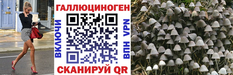 Псилоцибиновые грибы мухоморы  Купить закладки  Киров 