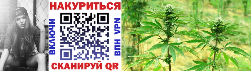 Купить закладки  Киров  Канабис конопля 